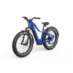 Ranger EB50 EBike - Image 3